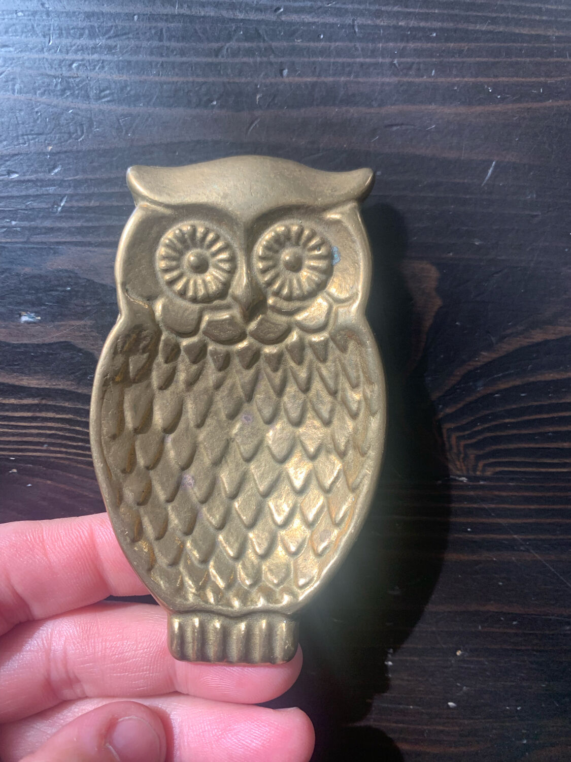 Empty brass pocket owl