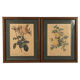 Pair of illustrations framed with roses by PJ Redouté