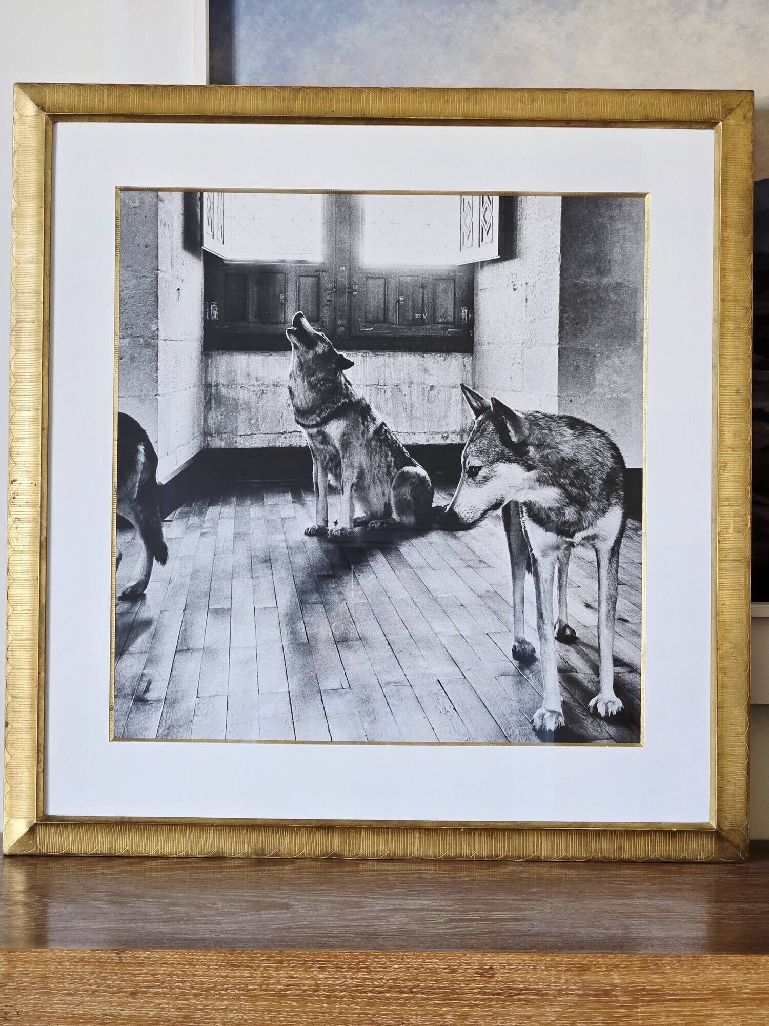 original vintage silver print "wolves"