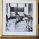 original vintage silver print "wolves"