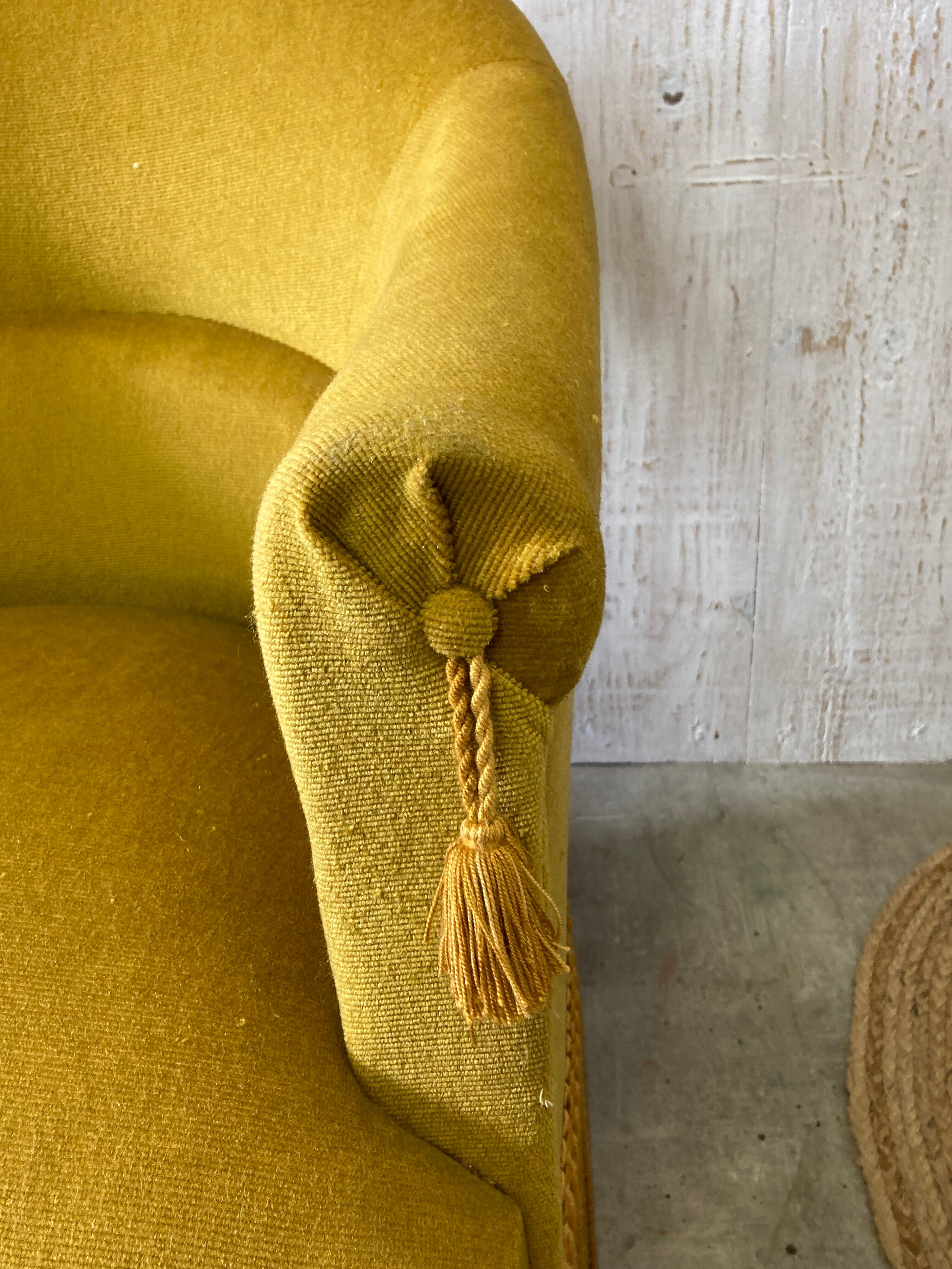 Velvet toad armchair