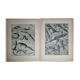 Two original plates "Etudes d'Animaux" by Mathurin Méheut, 1911