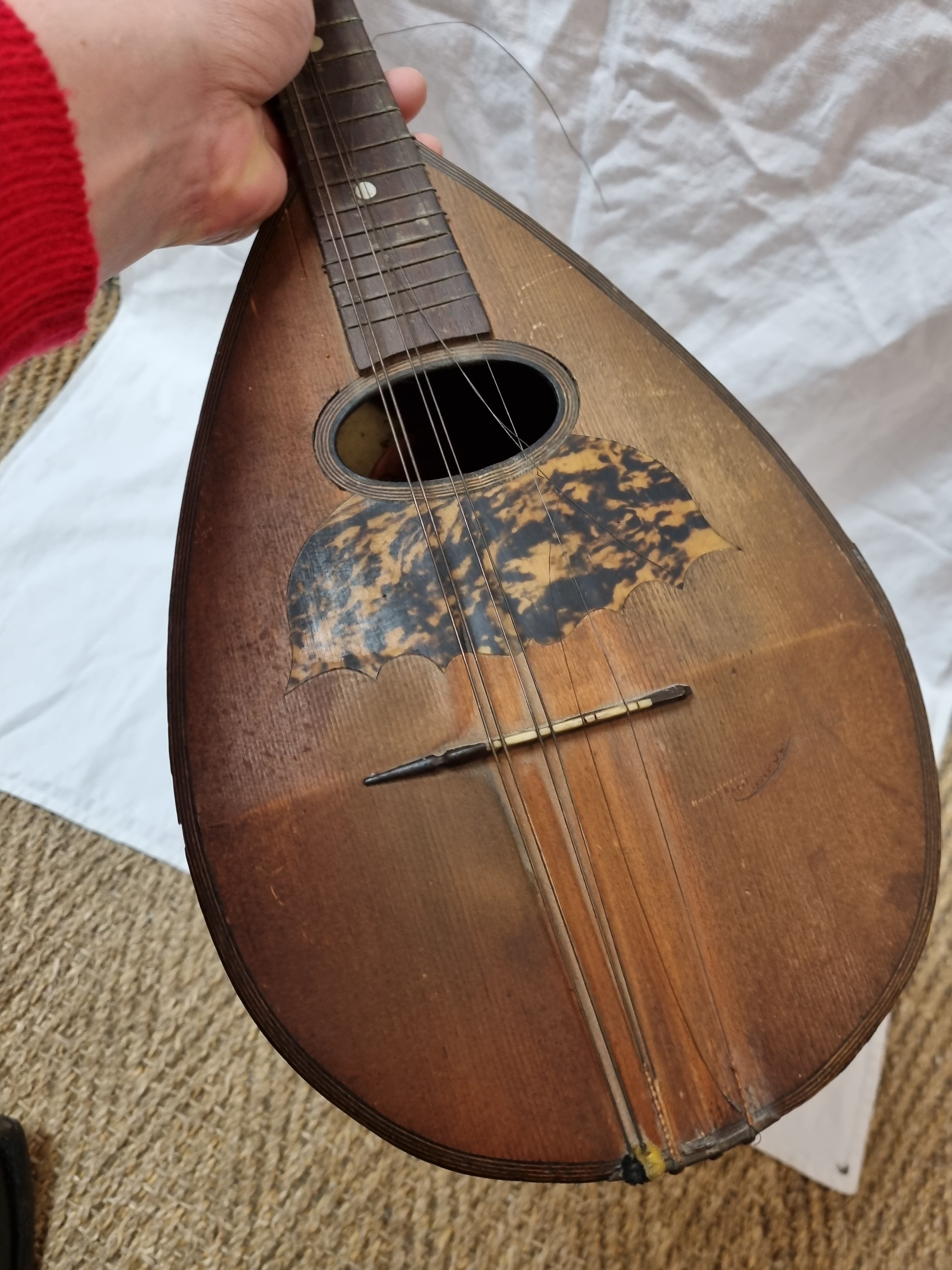 Mandolin Domenico Salvadori Napoli antico