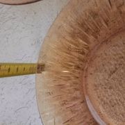 Twelve amber sunflower plates Vereco