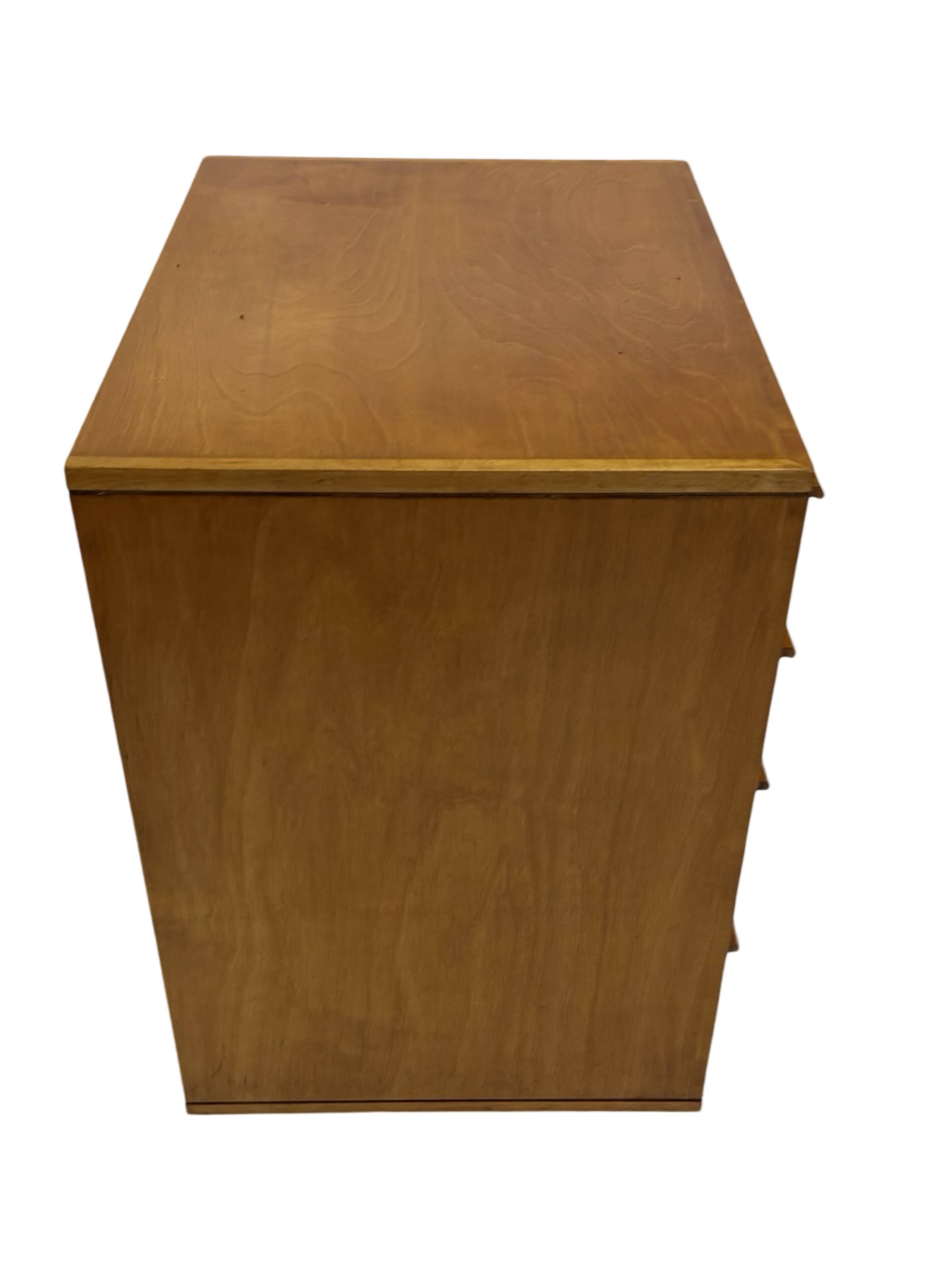 Vintage Pastoe Chest of Drawers Cees Braakman CB05 Dutch Design