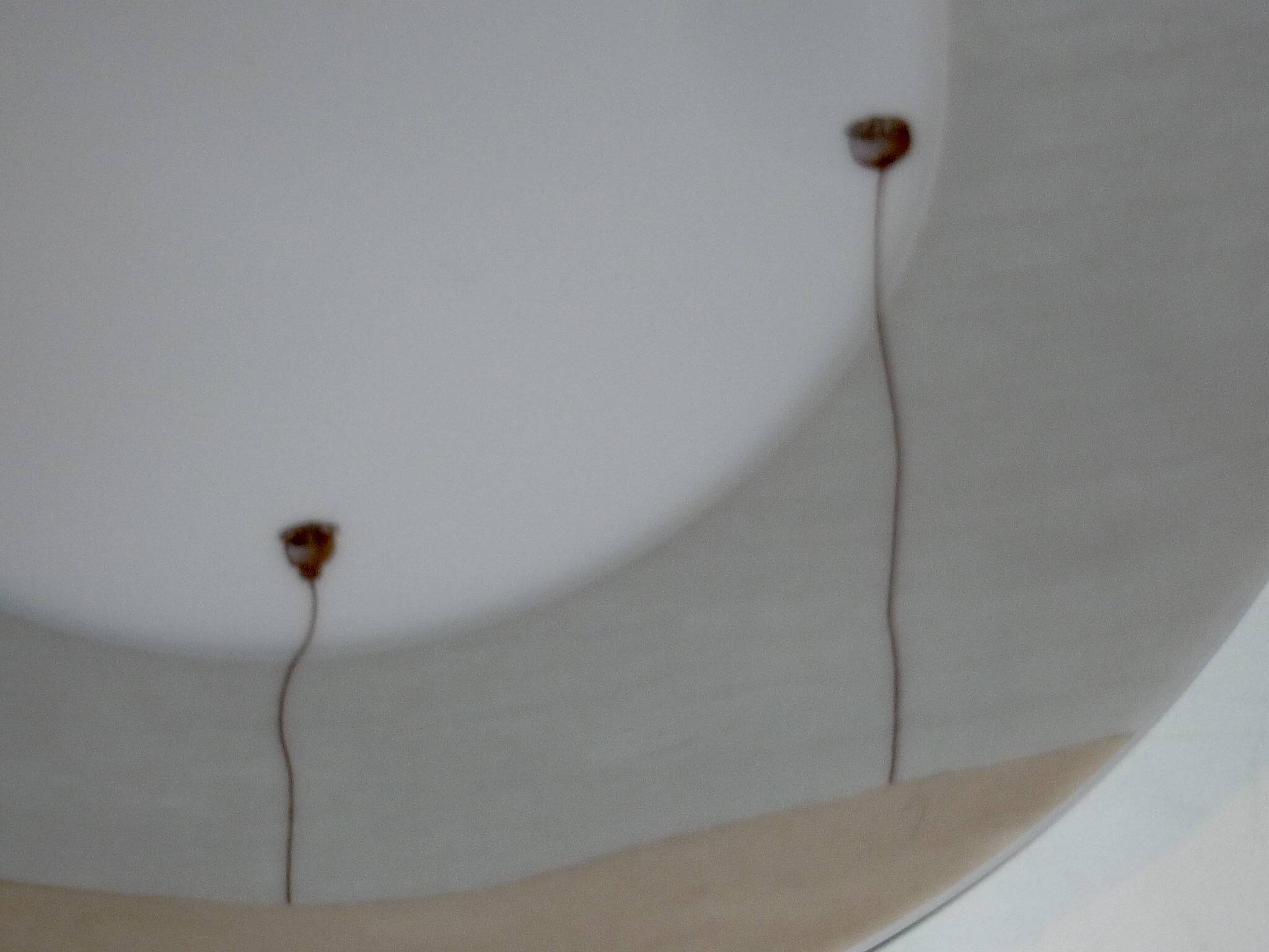 Zéphyr MdN plate in Limoges porcelain