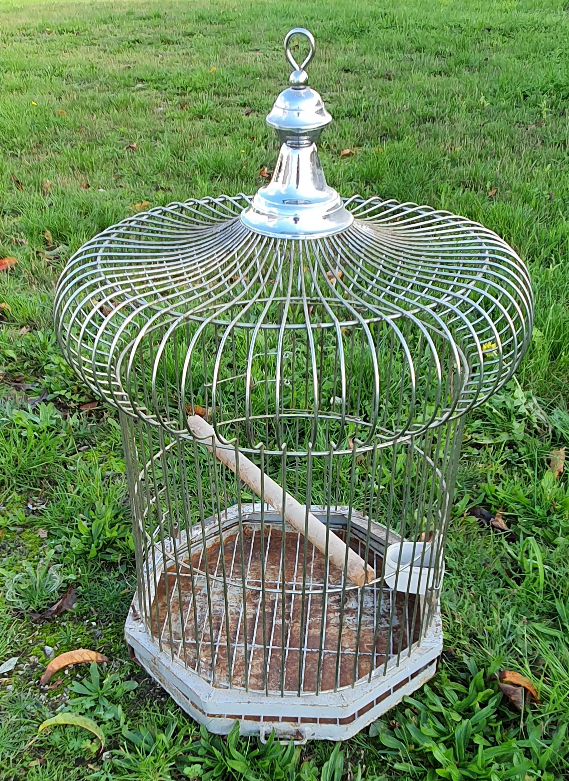 Large old iron parrot cage