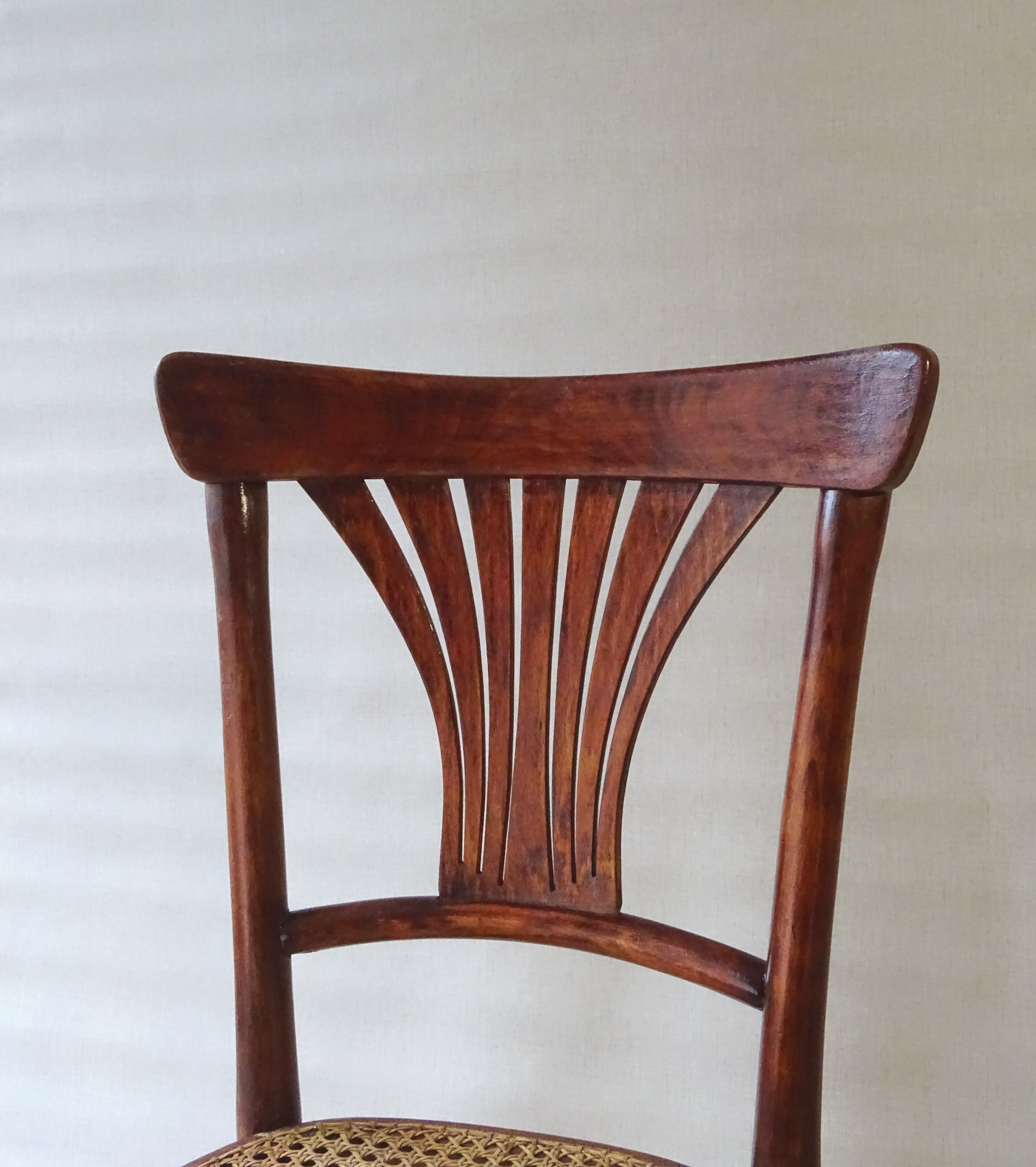 Two bistro chairs kohn n°196 in palmette, circa 1906, tanned