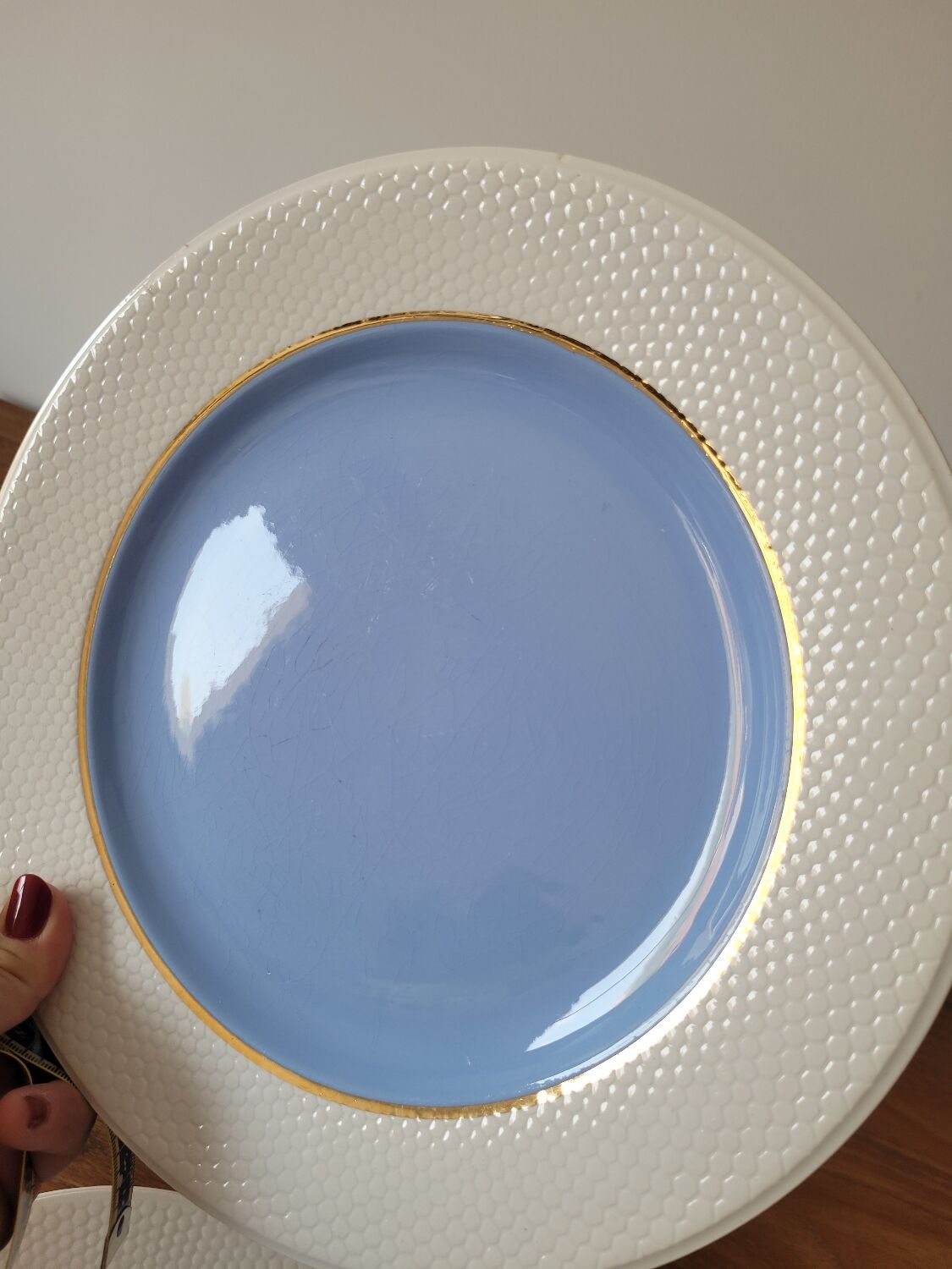 7 plates L'Amandinese model "excellence"