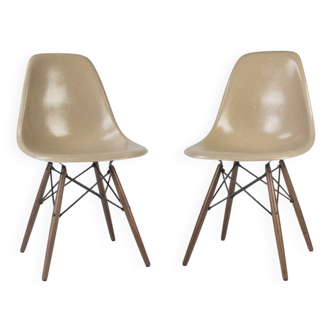 Greige Pair (2) Herman Miller Vintage Original Eames DSW Side Shell Chairs