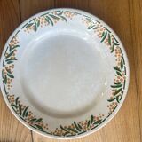 Mimosa dessert plates
