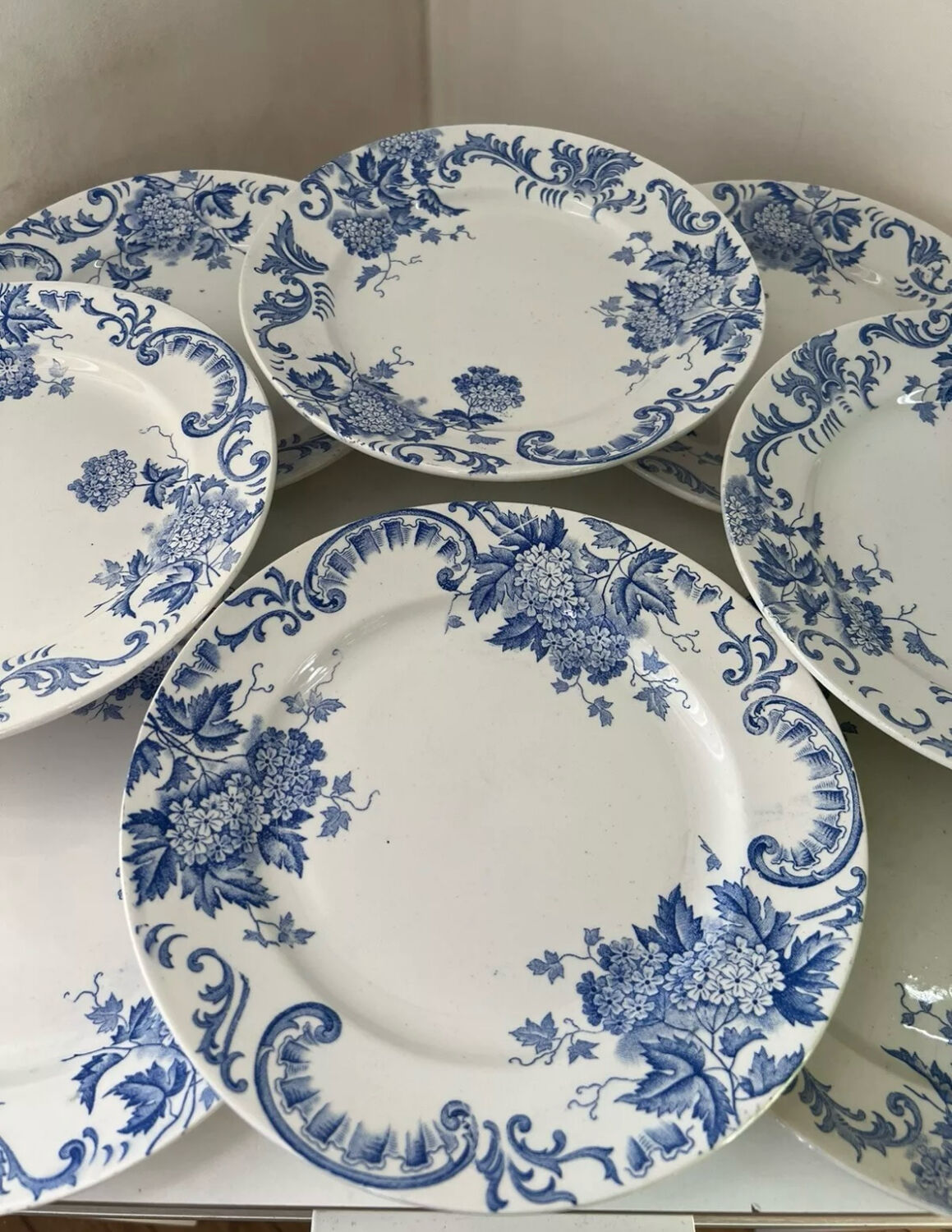 Set of 8 Terre de Fer Saint Amand & Hamage Snowball plates