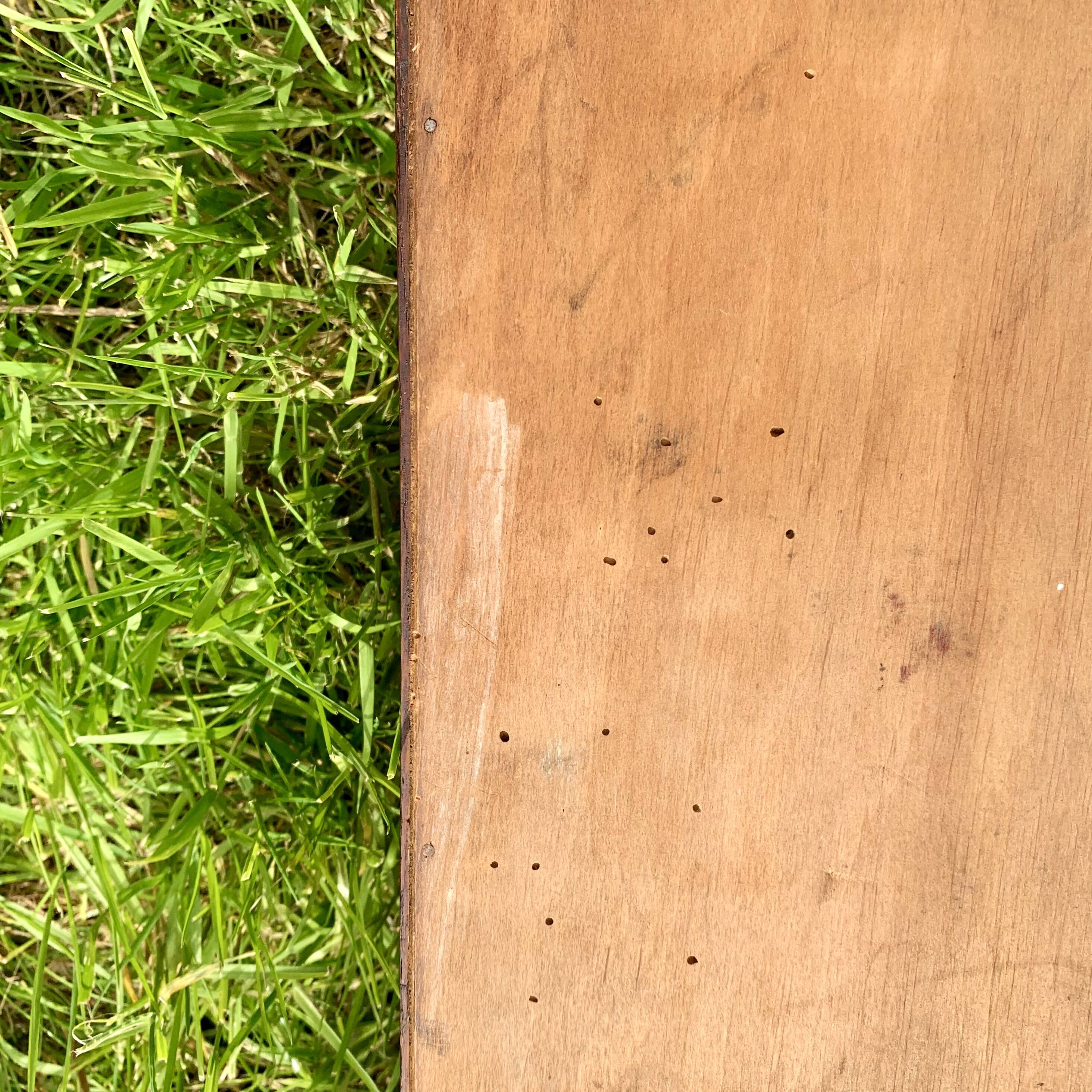 Old carved wooden medicine cabinet with beveled mirror