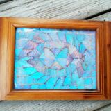 Naturalized butterfly platter