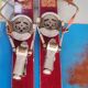 Rossignol Strato 2m10 vintage collection skis from the French team.