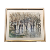 Aquarelle représentant des arbres avec leurs reflets dans l'eau