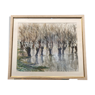 Aquarelle représentant des arbres avec leurs reflets dans l'eau