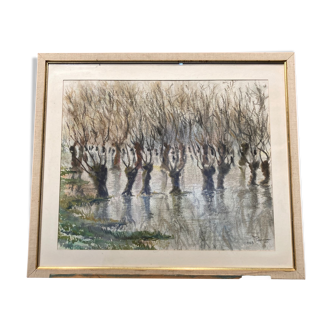 Watercolor depicting trees with their reflections in the water