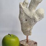 Old white coral branch on pedestal, 27 cm