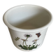 Cache pot Portmeirion Susan Williams Ellis The Botanic Garden