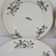 6 flat plates decorated with barbs
