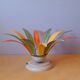 Applique ou plafonnier fleur 70s