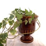 Medici vase planter in brown ceramic
