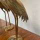 Herons laiton