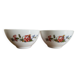 Duo vintage arcopal bowls