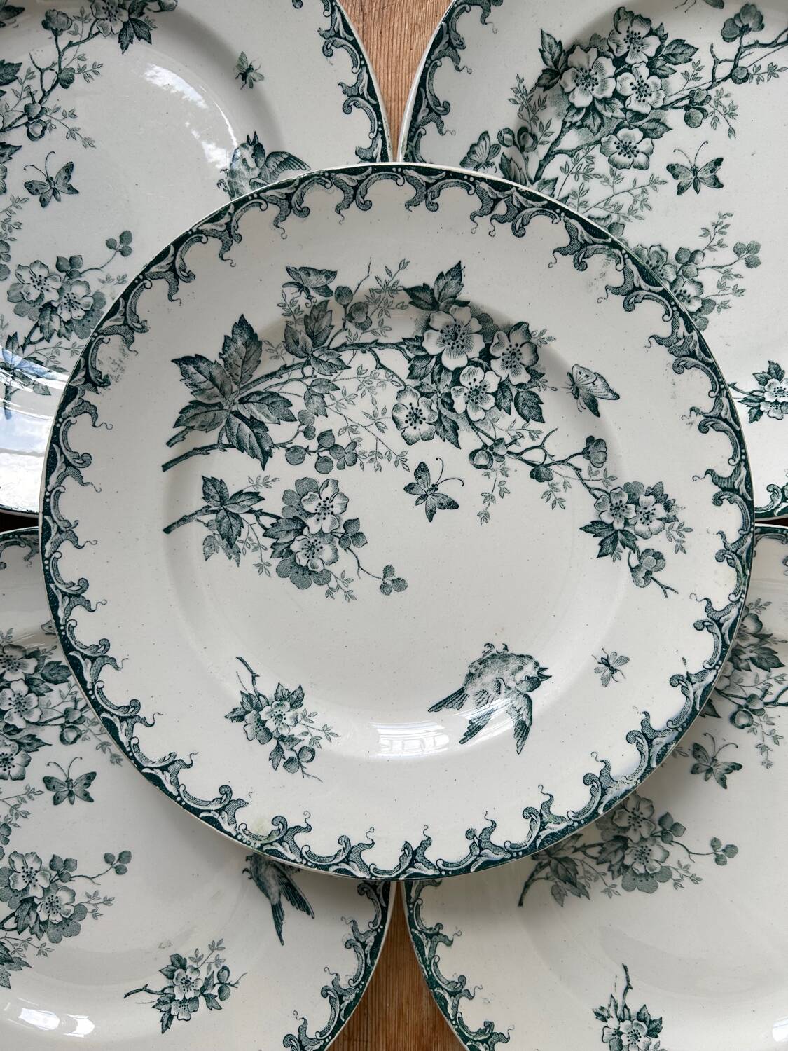 Series of 6 old flat plates “Terre de Fer”