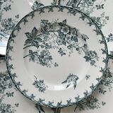 Series of 6 old flat plates “Terre de Fer”