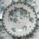 Series of 6 old flat plates “Terre de Fer”