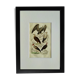 Planche Ornithologique originale " Vautour - Vautour Aigrette - &c.... " Buffon 1836