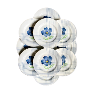 10 assiettes plates digoin