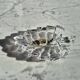 Vintage cut crystal leaf bedside jewellery holder – Rings & earrings