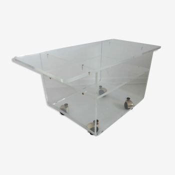 Plexiglass table by David Lange for "the invisibles of the swamp"