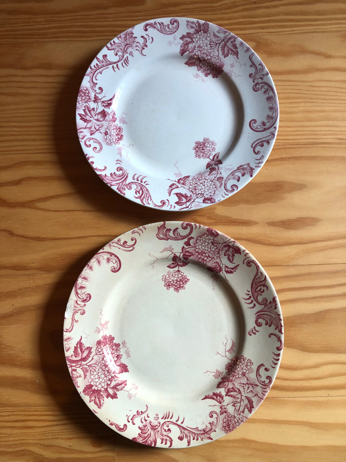 "Snowball" plates in ironstone by Amand and Hamage