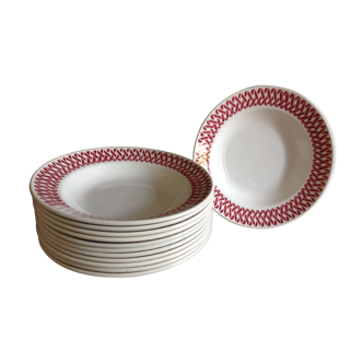 Pack of 12 soup plates