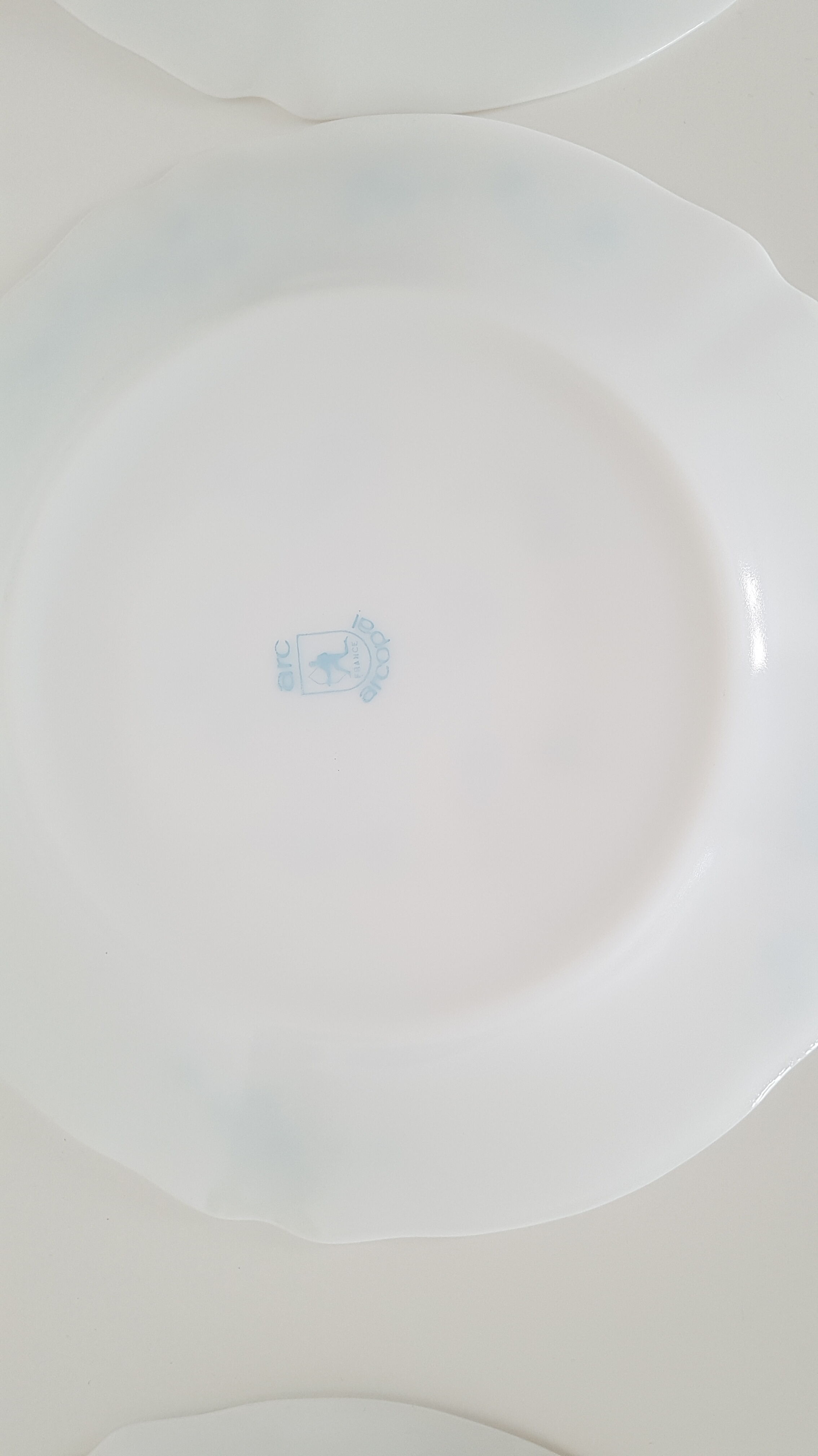 Full service 24 pieces Arcopal Myosotis Veronica