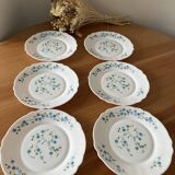 Vintage forget-not dessert plates