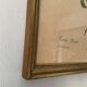 Vintage frame botanical illustration "Rosier d'amour" by Redouté