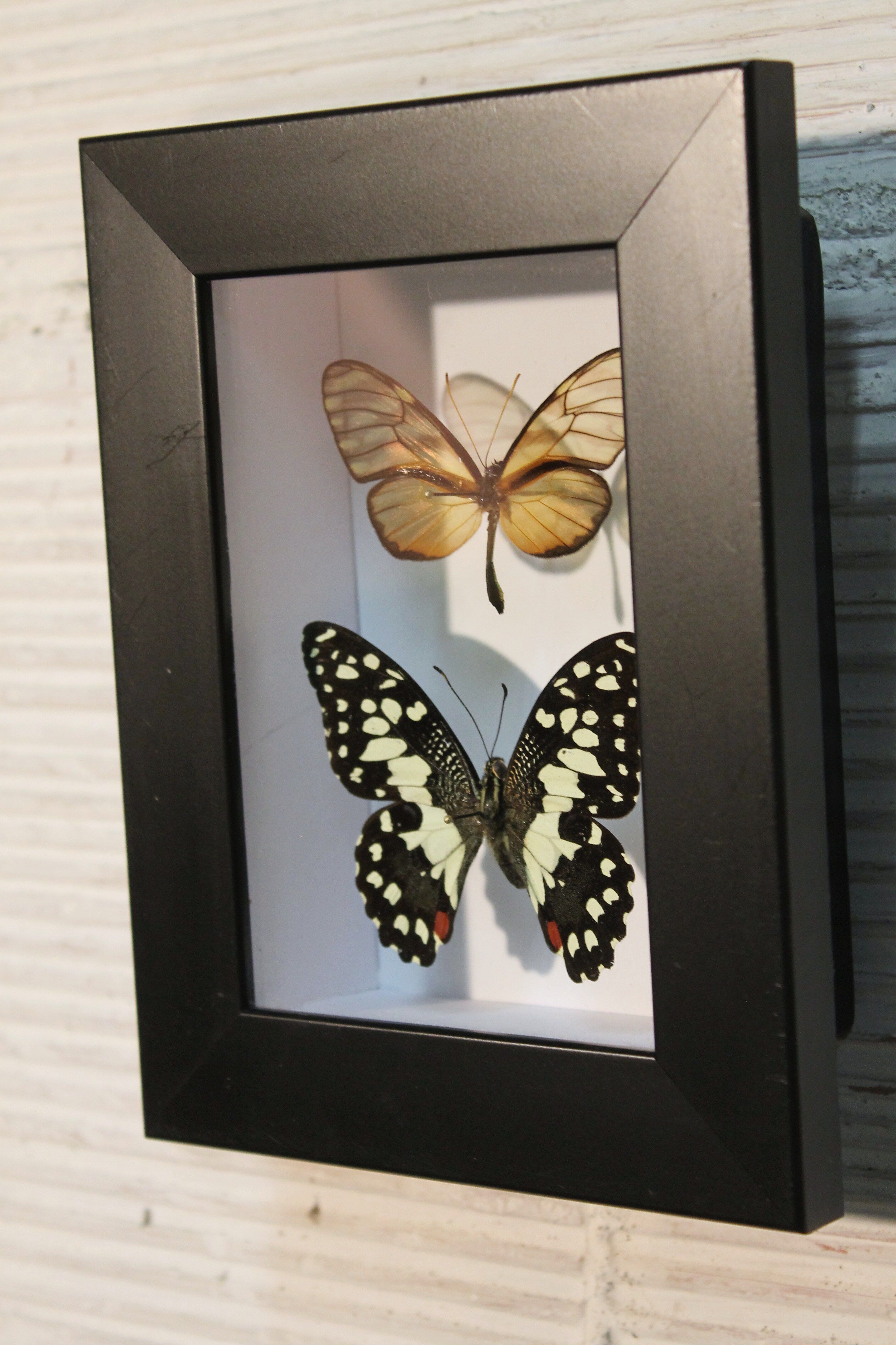 Cadre coffret 2 papillons
