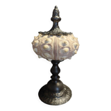 Cabinet of Curiosities imperial sea urchin Phyllacanthus imperialis on a base