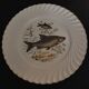 Fish plates series of two Luneville 50s