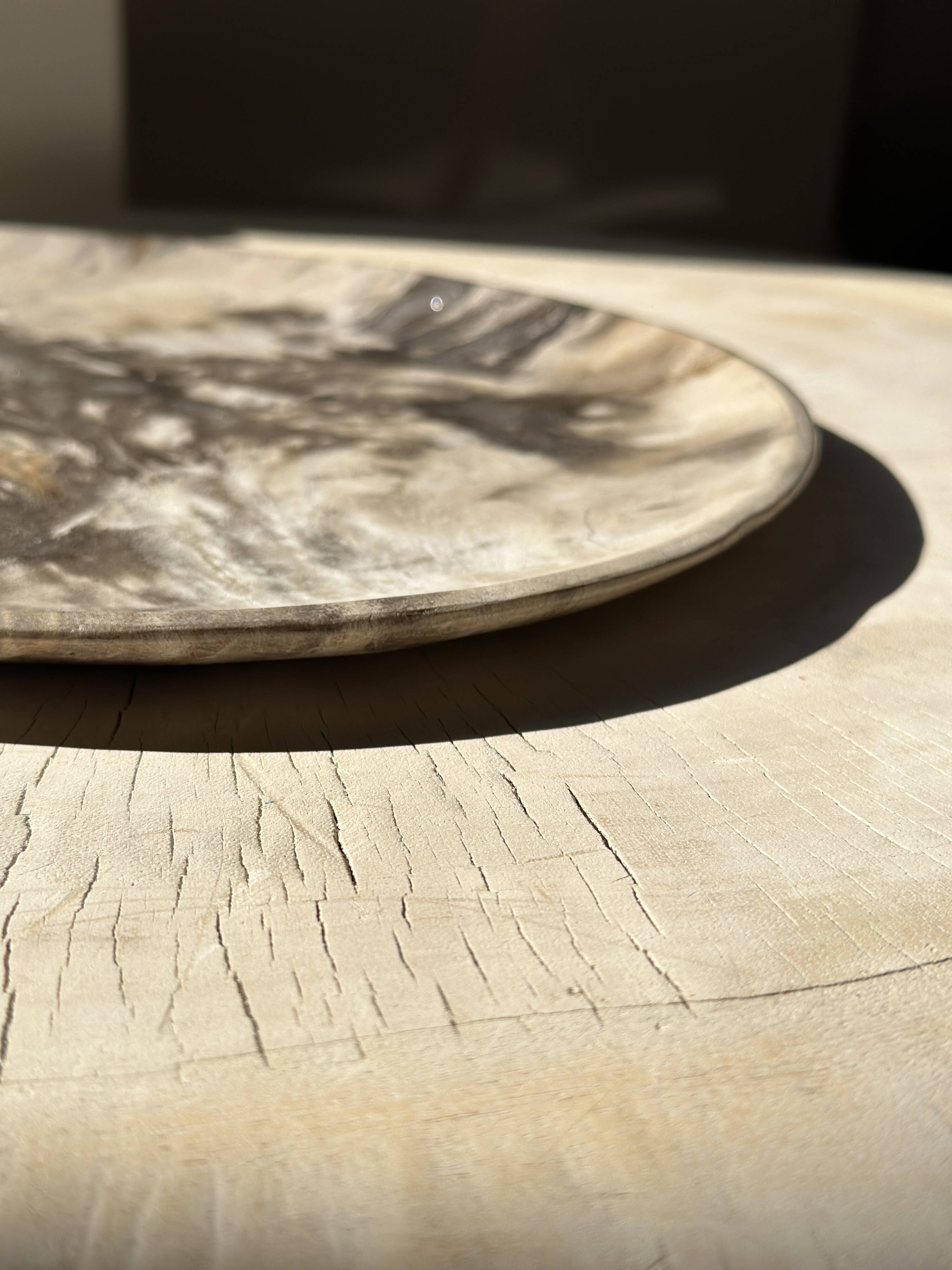 Very large pocket or dish in petrified wood