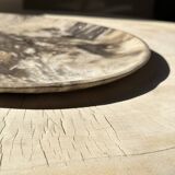Very large pocket or dish in petrified wood