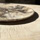 Very large pocket or dish in petrified wood