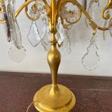Pair of lamps in gilded bronze and crystal