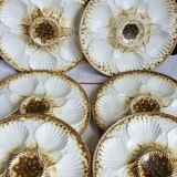 Set of 2 Longchamp oyster plates, vintage shell plates.