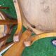 Chaises Bistrot